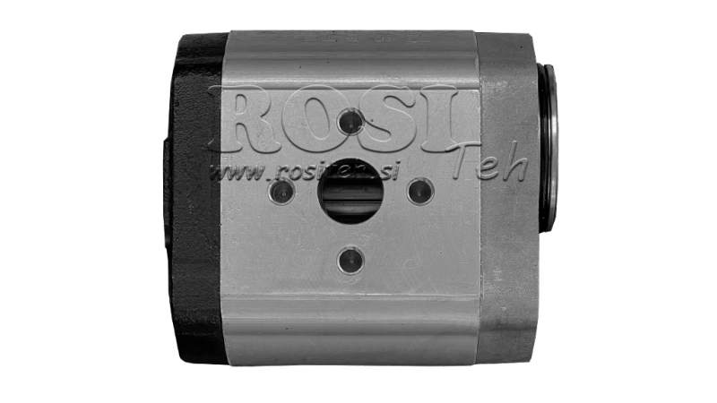 HYDRAULIK PUMPE 20A22X066 REAR GR.2 22 CC LINKS